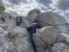 upload_2025-3-2_17-55-26.png