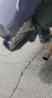 Messenger_creation_1DD509A7-176E-44F0-9CED-96526513AF20.jpg