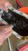 IMG-20250318-WA0011.jpg