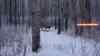 Sk24thumb.png