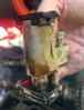 upload_2025-5-12_18-24-47.png