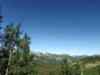 IMG20250712101936.jpg