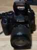 20250816_162450 copy.jpg