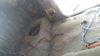 20150301_133503.jpg