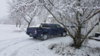 truck_1st_snow03.jpg