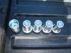 DSC08355.jpg