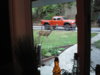 P1010007.jpg