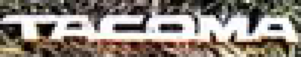 mreimann