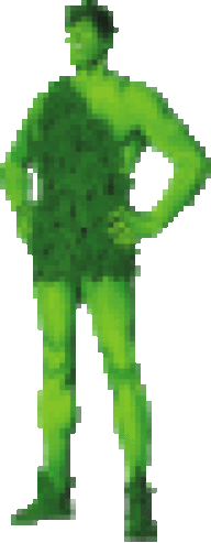 Zac808