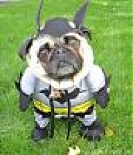 beondwacko