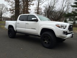 Taco Delight