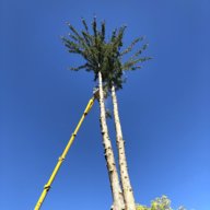 JanBoothius