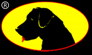 Blackdawg