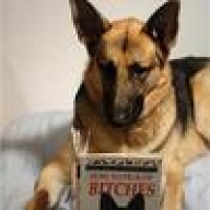 k9cop