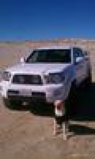 DP4x4