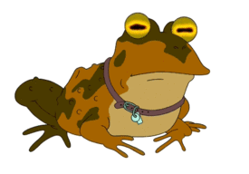 ziggynagy