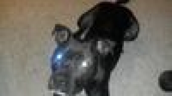 Smar969905