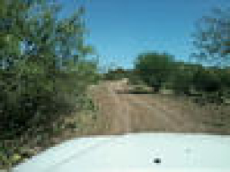 TexasPreRunner