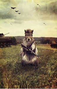 armyofsquirrels