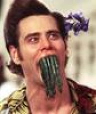 slinkey11