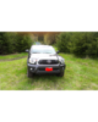 MGMTacolover55