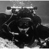 CaveDiver