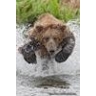 Outdoorsmen