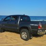Rhinotrd