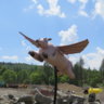 riverrat14