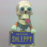 shleppy