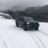 2015 Trd shark