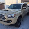 Tacoma Bruh