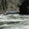 riverrat503