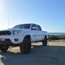 adam2015taco