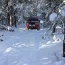 snow-king