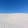desertdog256
