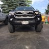 Grizzly7002008