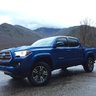 KnoxTaco44