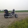 Albertapete