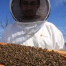 jason_beekeeper