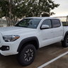 Taco Dude 50