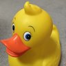 Rub R. Duck