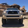 Gold_tacoma