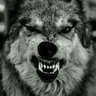 Mountainwolf