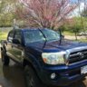 toyotacoma06