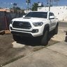 Ovixtaco