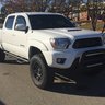 tacoj231
