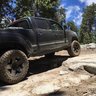 dansblacktacoma