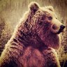 Bearded_Hombre