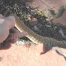 snake man